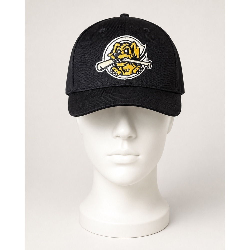 OC Sports Charleston RiverDogs MiLB Baseball Cap‎ Black Performance Mesh OSFM